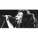 Bob Marley - 25 Greatest Hits (2xLP, Comp)