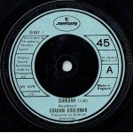 Graham Gouldman - Sunburn (7