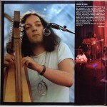 Alan Stivell - Chemins De Terre (LP, Album, Gat)