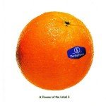 Various - A Flavour Of The Label 6 (CD, Comp, Promo)