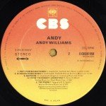 Andy* - Andy (LP, Album)