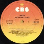 Andy* - Andy (LP, Album)