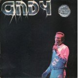 Andy* - Andy (LP, Album)