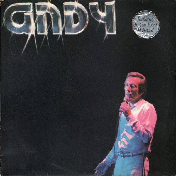 Andy* - Andy (LP, Album)