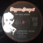 The Icicle Works - Love Is A Wonderful Colour (12