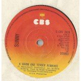 Sunny* - A Warm And Tender Romance (7