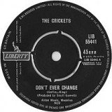The Crickets (2) - Don't Ever Change (7