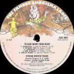 String Driven Thing - Please Mind Your Head (LP, Album)