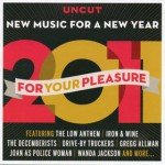 Various - 2011 For Your Pleasure (New Music For A New Year) (CD, Comp, Jew)