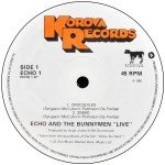 Echo And The Bunnymen* - Shine So Hard (12