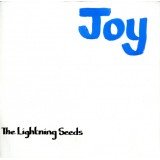 The Lightning Seeds* - Joy (12