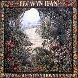 Tecwyn Ifan - Goleuni Yn Yr Hwyr (LP, Album)