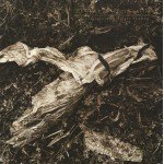 David Sylvian + Holger Czukay - Plight & Premonition (LP, Album)