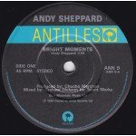 Andy Sheppard Featuring Dolly James - Bright Moments (7