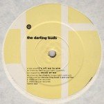 The Darling Buds - It's All Up To You (12