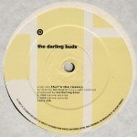 The Darling Buds - It's All Up To You (12