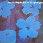 The Darling Buds - It's All Up To You (12
