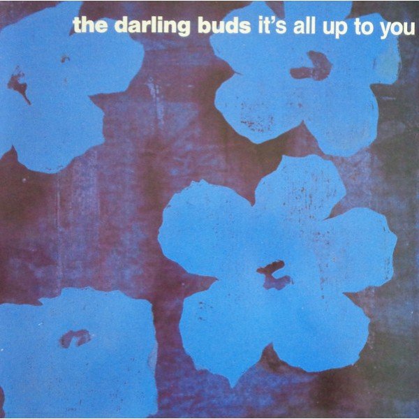 The Darling Buds - It's All Up To You (12