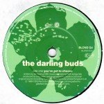 The Darling Buds - You've Got To Choose (7