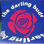 The Darling Buds - You've Got To Choose (7