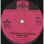 The Sandpipers - Guantanamera / What Makes You Dream, Pretty Girl? (7