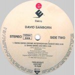 David Sanborn - Bang Bang (12