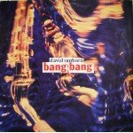 David Sanborn - Bang Bang (12