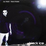 Jay Welsh - Weird Noises (12